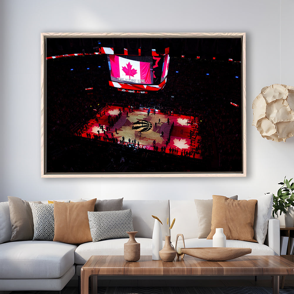 Raptors in Canada, Stadium Canvas, Sport Art, Framed Canvas Print Wall Art, Floating Frame
