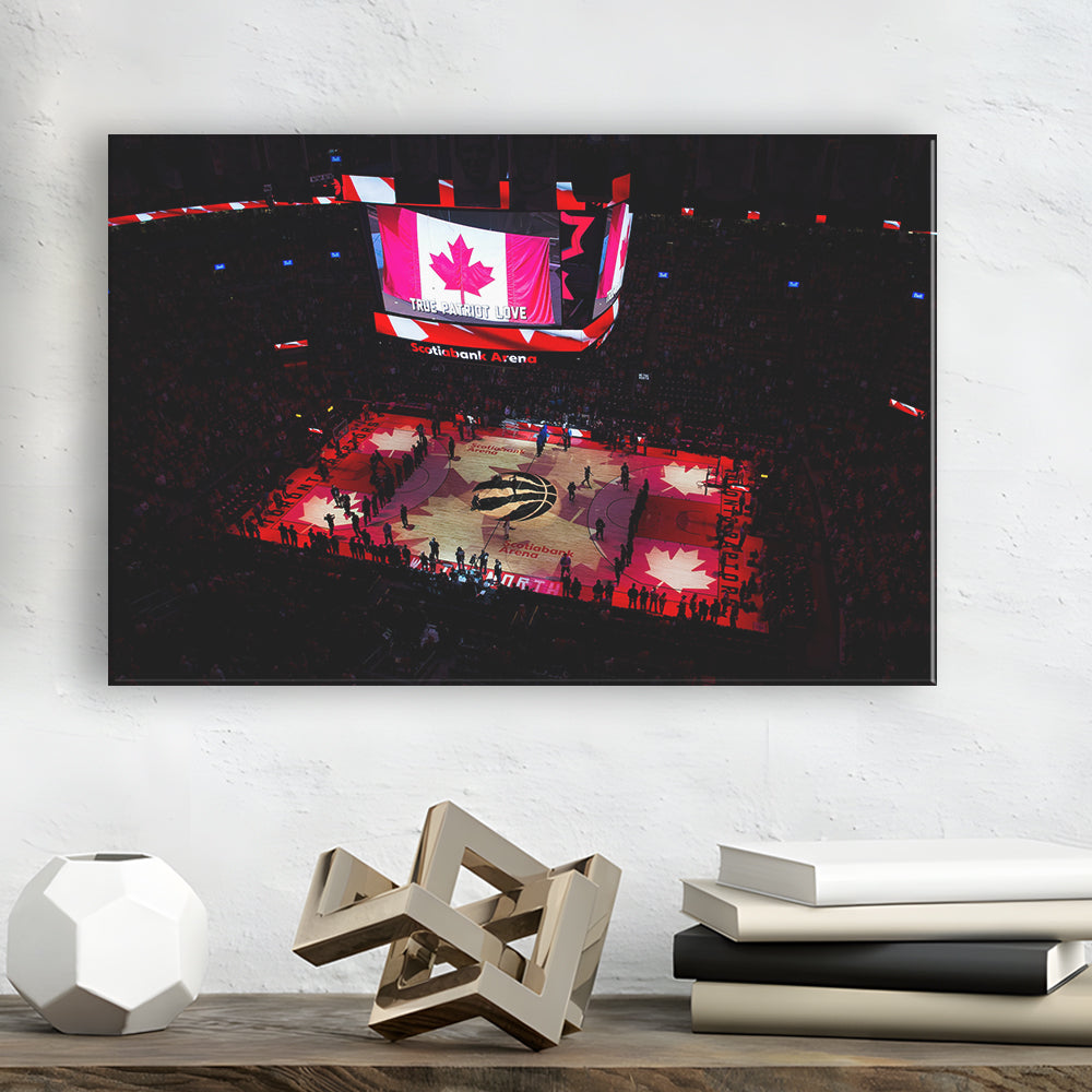 Raptors in Canada, Stadium Canvas, Sport Art, Gift for him, Man Cave Decor, Art Print, Canvas Print Wall Art