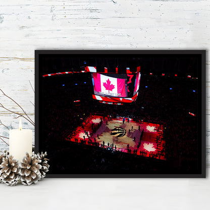 Raptors in Canada, Stadium Canvas, Sport Art, Framed Canvas Print Wall Art, Floating Frame