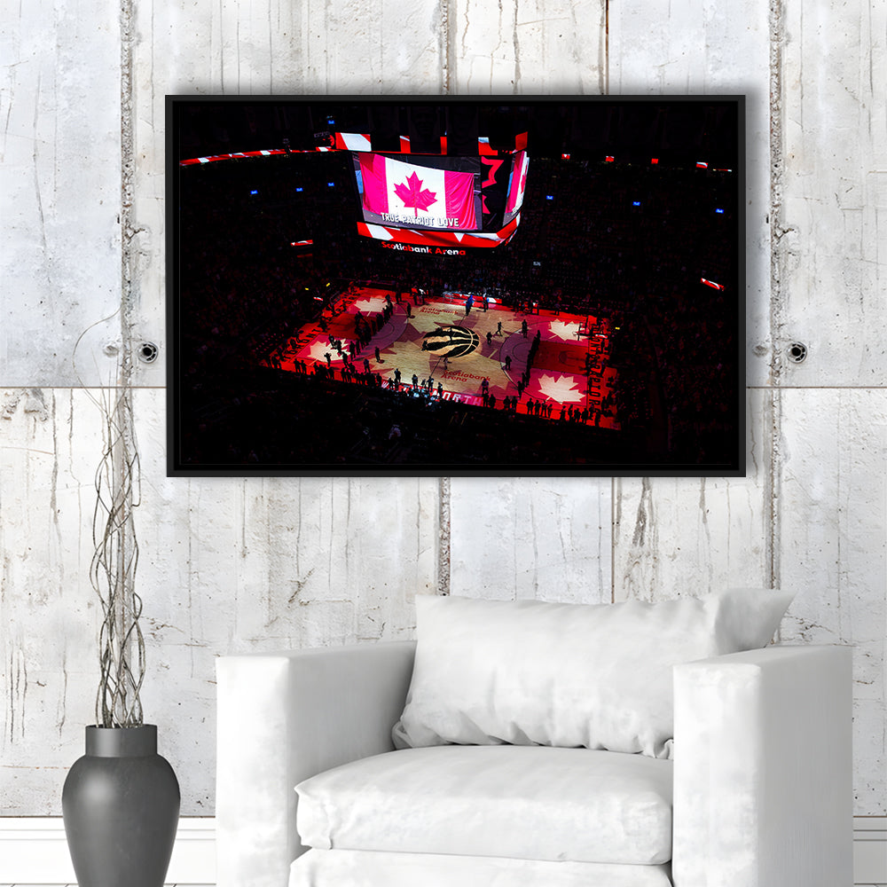 Raptors in Canada, Stadium Canvas, Sport Art, Framed Canvas Print Wall Art, Floating Frame