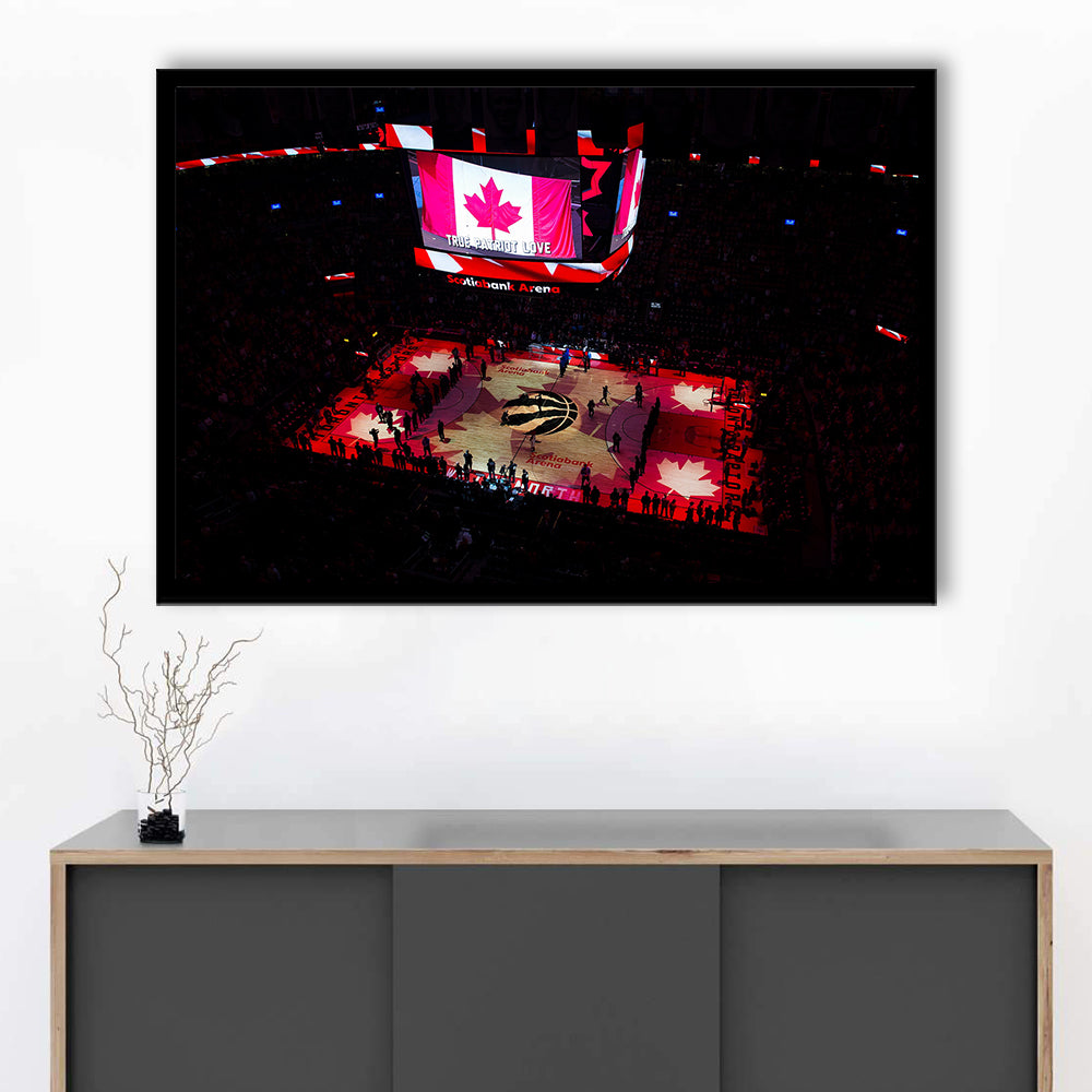 Raptors in Canada, Stadium Canvas, Sport Art, Gift for him, Framed Art Print Wall Decor, Picture Framed