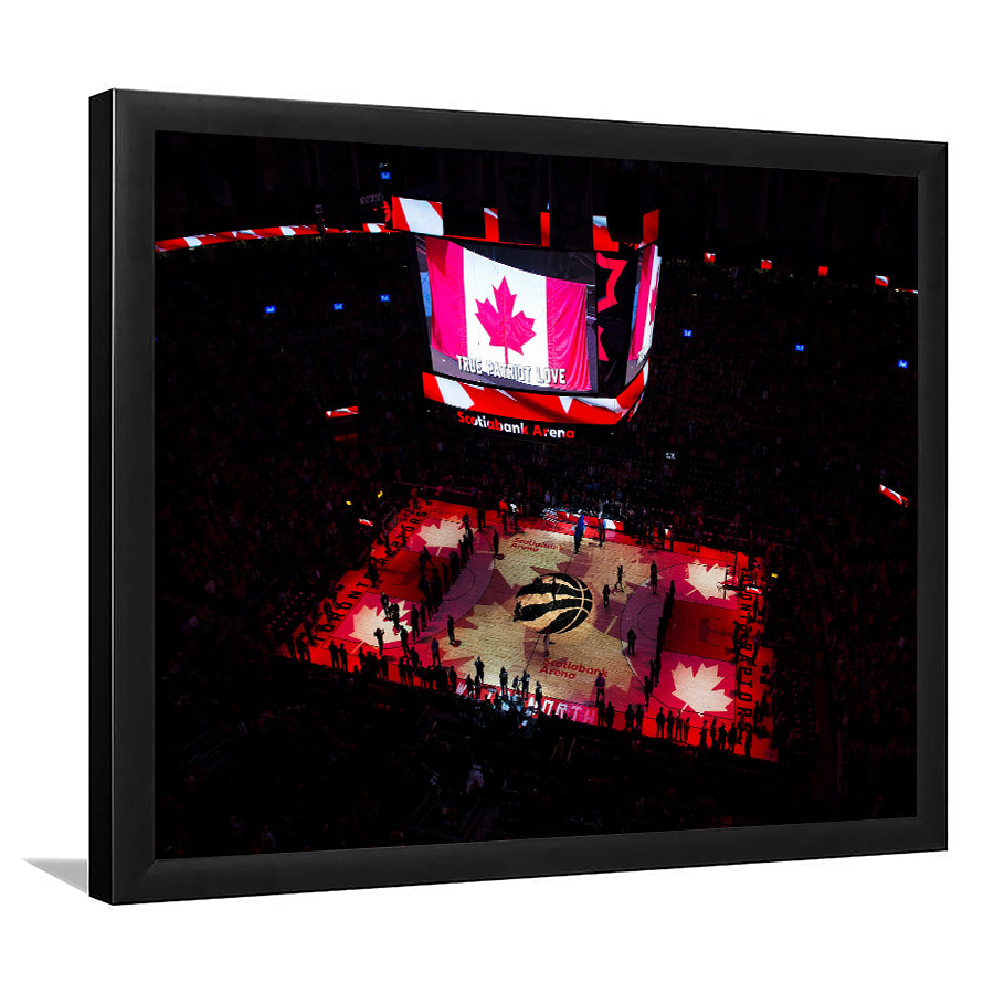 Raptors in Canada, Stadium Canvas, Sport Art, Gift for him, Framed Art Print Wall Decor, Picture Framed