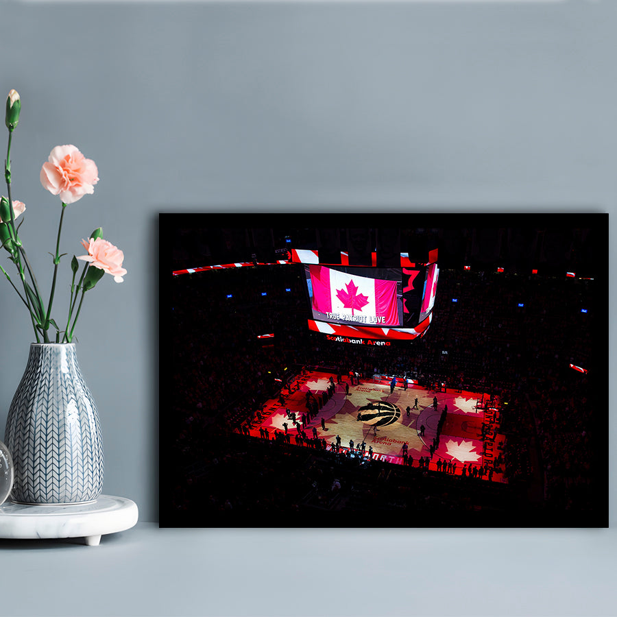 Raptors in Canada, Stadium Canvas, Sport Art, Gift for him, Framed Art Print Wall Decor, Picture Framed
