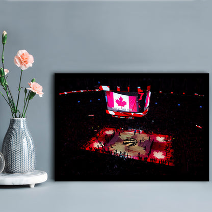 Raptors in Canada, Stadium Canvas, Sport Art, Gift for him, Framed Art Print Wall Decor, Picture Framed