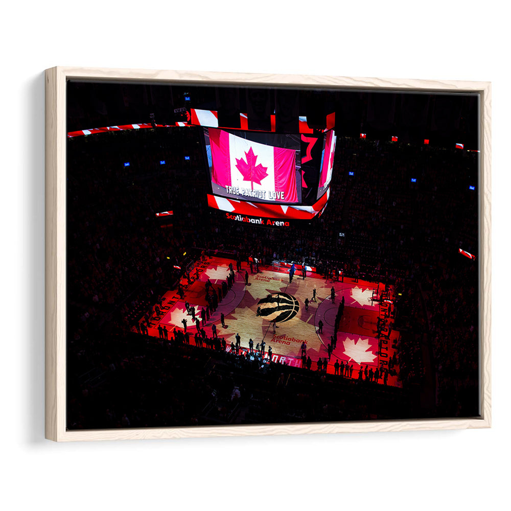 Raptors in Canada, Stadium Canvas, Sport Art, Framed Canvas Print Wall Art, Floating Frame