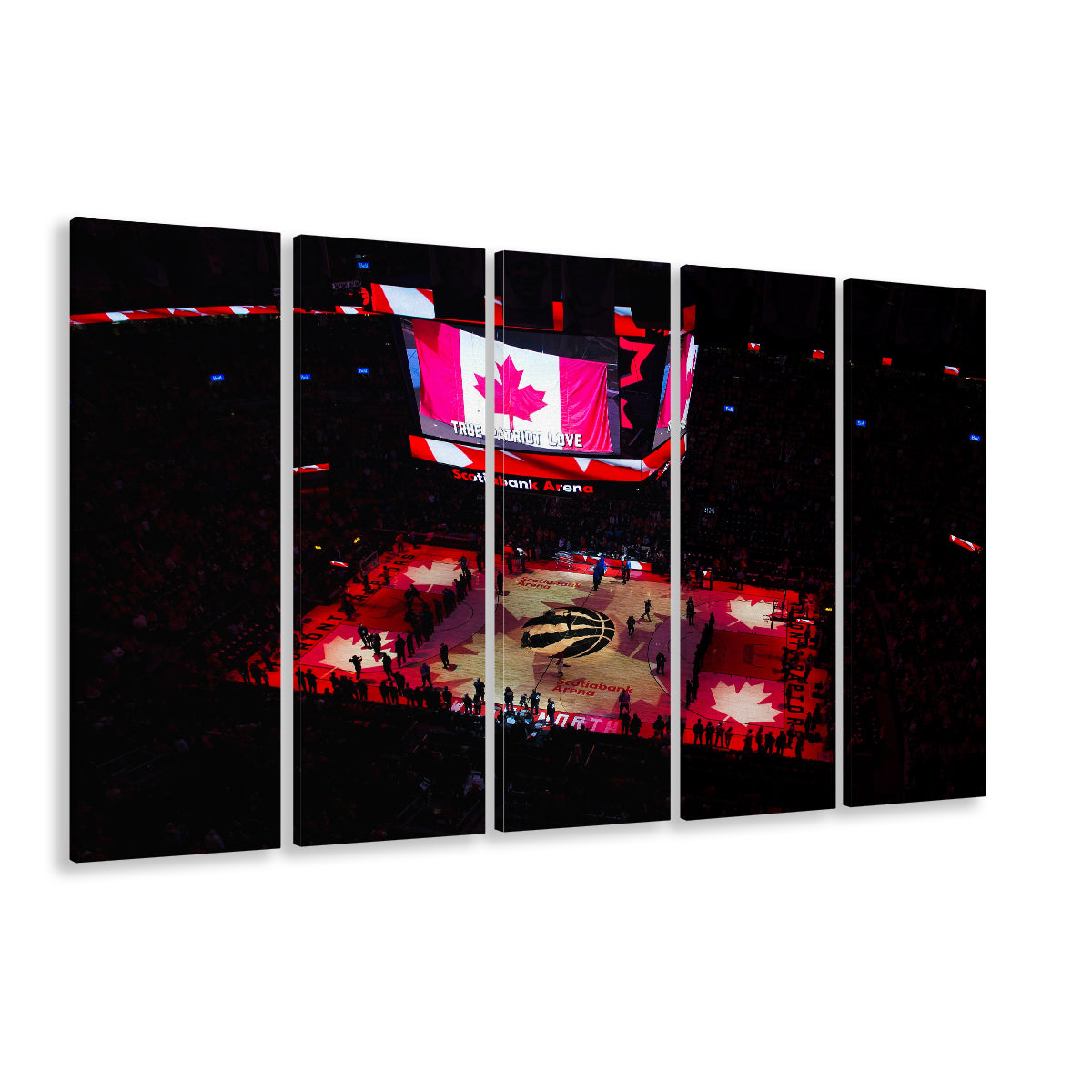 Raptors in Canada, Stadium Canvas, Sport Art, 5 Panel B, Extra Large Canvas, Canvas Print Wall Art