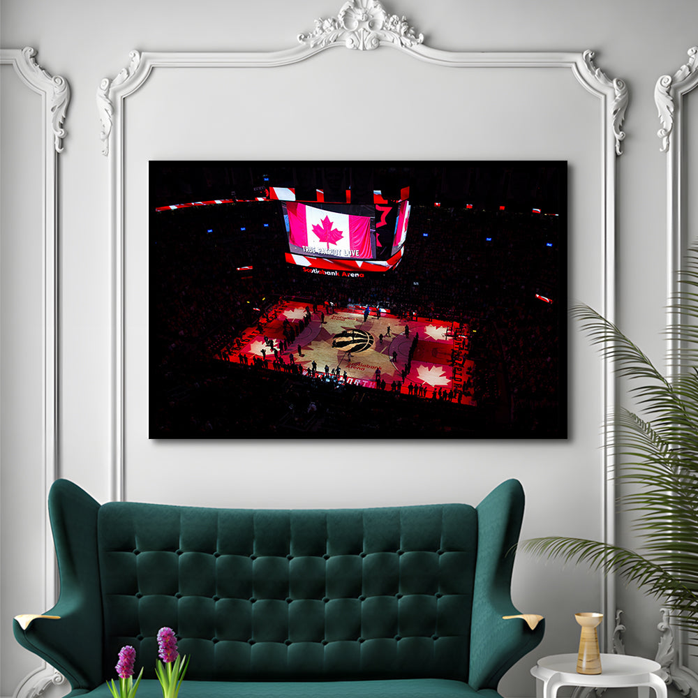 Raptors in Canada, Stadium Canvas, Sport Art, Gift for him, Framed Art Print Wall Decor, Picture Framed