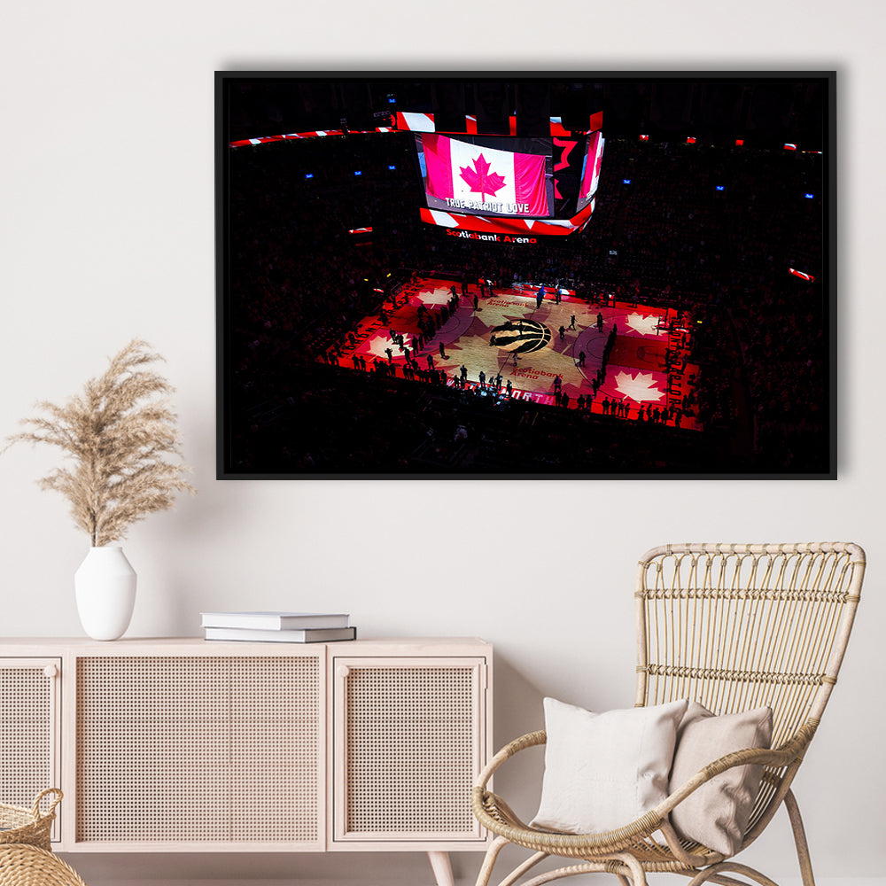Raptors in Canada, Stadium Canvas, Sport Art, Framed Canvas Print Wall Art, Floating Frame