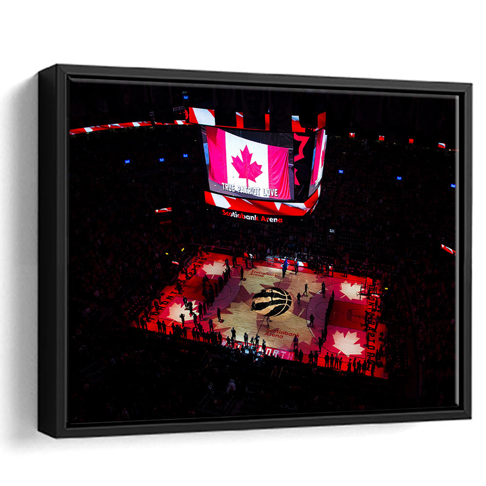 Raptors in Canada, Stadium Canvas, Sport Art, Framed Canvas Print Wall Art, Floating Frame