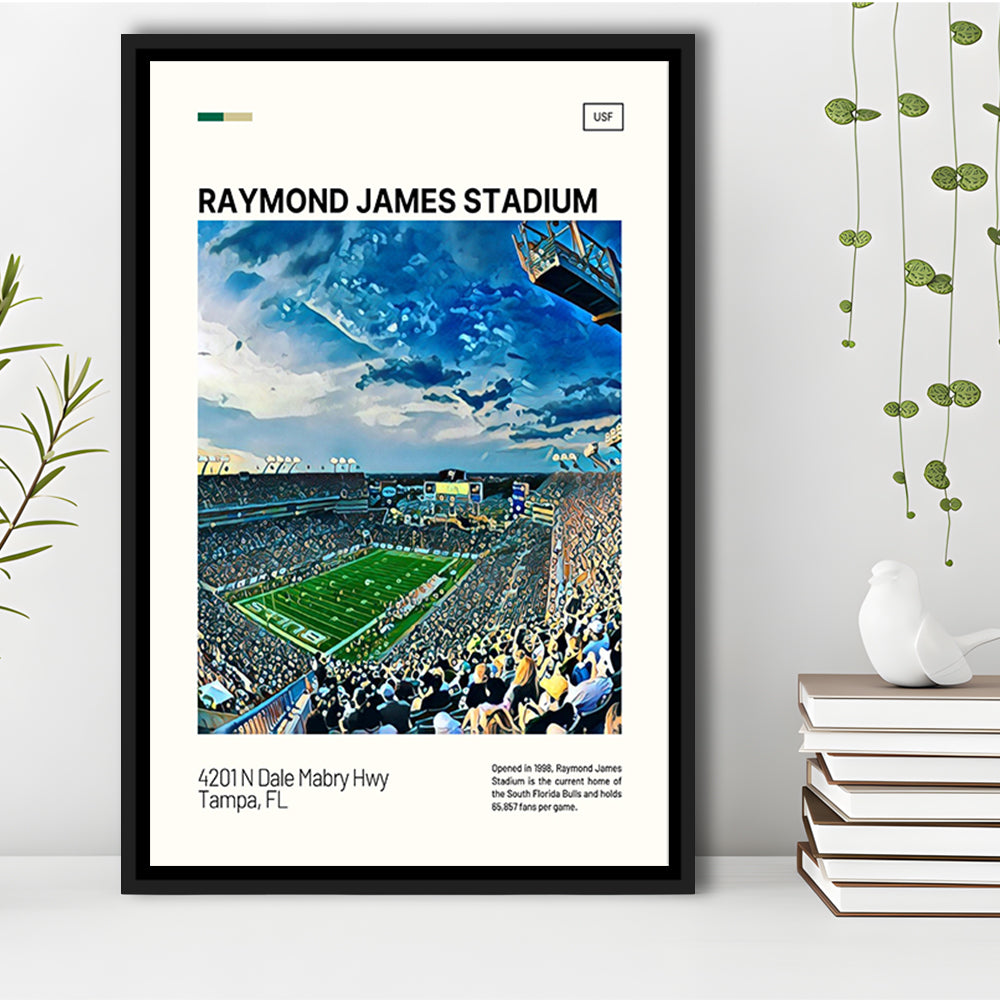 Raymond James Stadium Print, South Florida Bulls Stadium Canvas Art, Man Cave Gift, Floating Framed Canvas Print Wall Art
