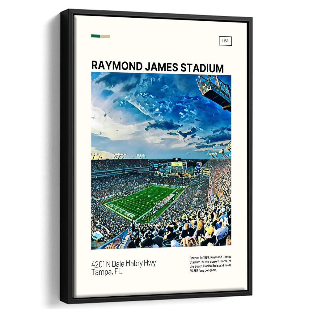 Raymond James Stadium Print, South Florida Bulls Stadium Canvas Art, Man Cave Gift, Floating Framed Canvas Print Wall Art