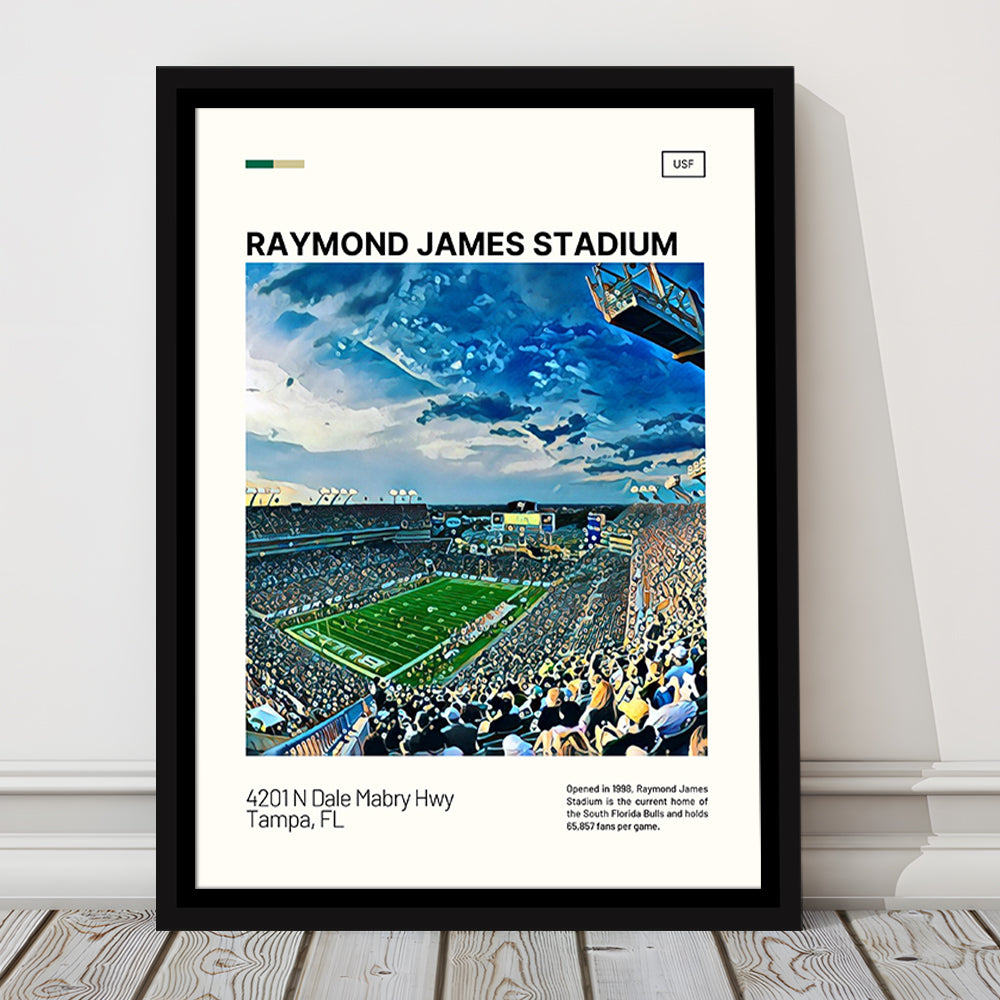 Raymond James Stadium Print, South Florida Bulls Stadium Canvas Art, Man Cave Gift, Floating Framed Canvas Print Wall Art