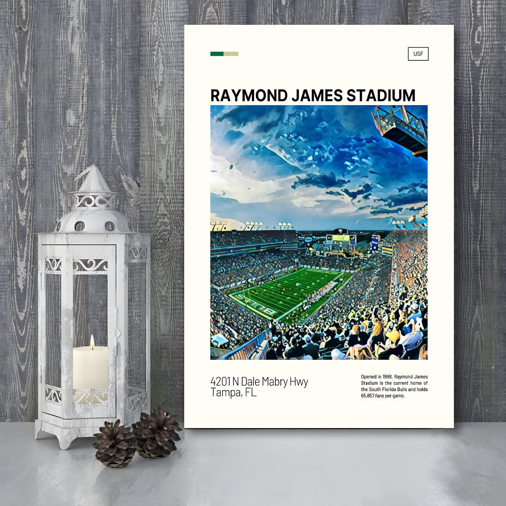 Raymond James Stadium Print, South Florida Bulls Stadium Canvas Art, Fan Gifts, Sport Art, Canvas Print Wall Art