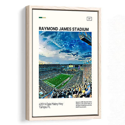 Raymond James Stadium Print, South Florida Bulls Stadium Canvas Art, Man Cave Gift, Floating Framed Canvas Print Wall Art