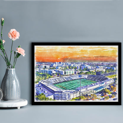 Riccardo Silva Painting Stadium Watercolor, University Park Florida, Sport Gift Art, Framed Art Print Wall Decor