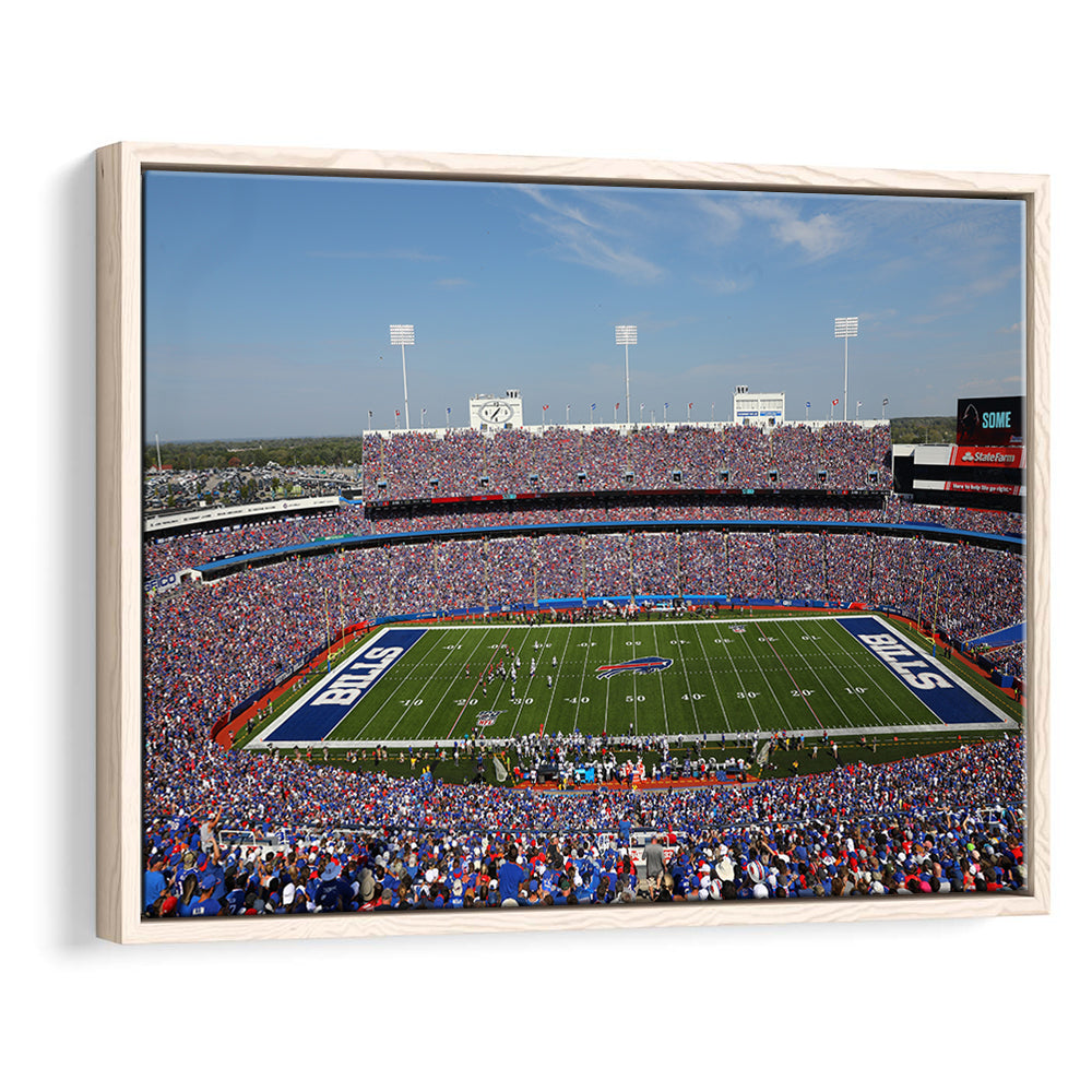 Rich Stadium, Stadium Canvas, Sport Art, Framed Canvas Print Wall Art, Floating Frame