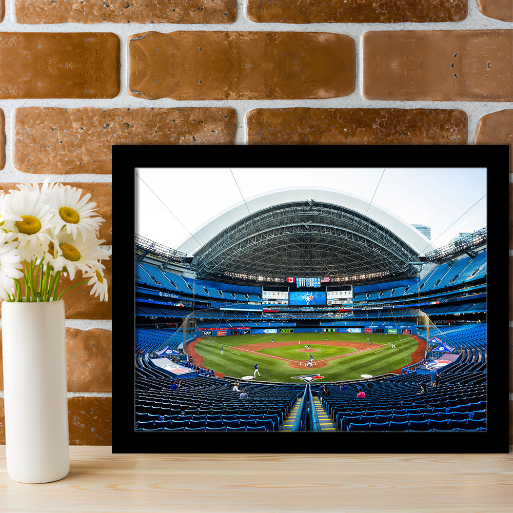 Rogers Centre, Stadium Canvas, Sport Art, Gift for him, Framed Art Print Wall Decor, Picture Framed