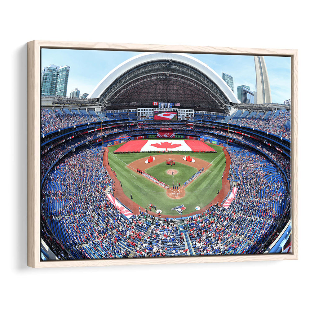 Rogers Centre Stadium in Toronto, Stadium Canvas, Sport Art, Framed Canvas Print Wall Art, Floating Frame
