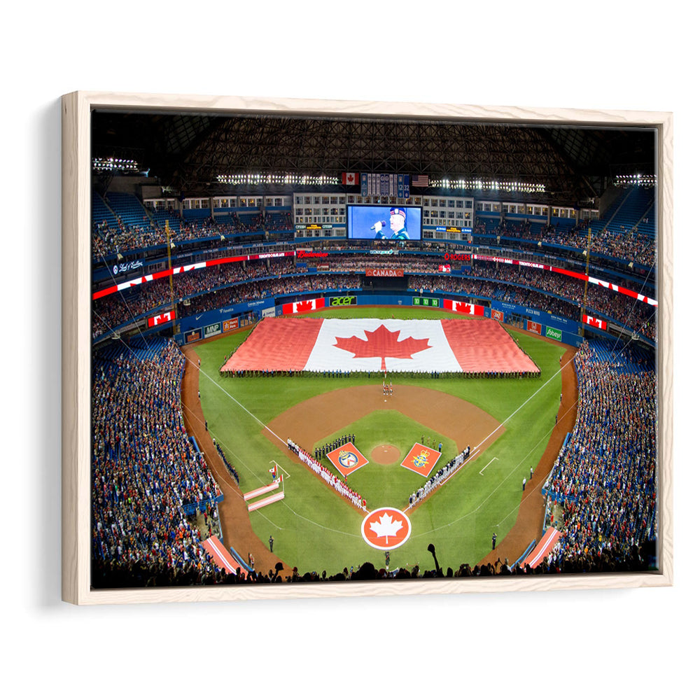 Rogers Centre in Toronto, Stadium Canvas, Sport Art, Framed Canvas Print Wall Art, Floating Frame