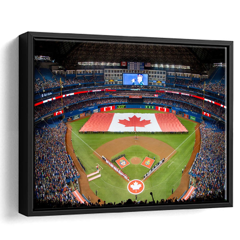 Rogers Centre in Toronto, Stadium Canvas, Sport Art, Framed Canvas Print Wall Art, Floating Frame