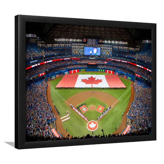 Rogers Centre in Toronto, Stadium Canvas, Sport Art, Gift for him, Framed Art Print Wall Decor, Picture Framed