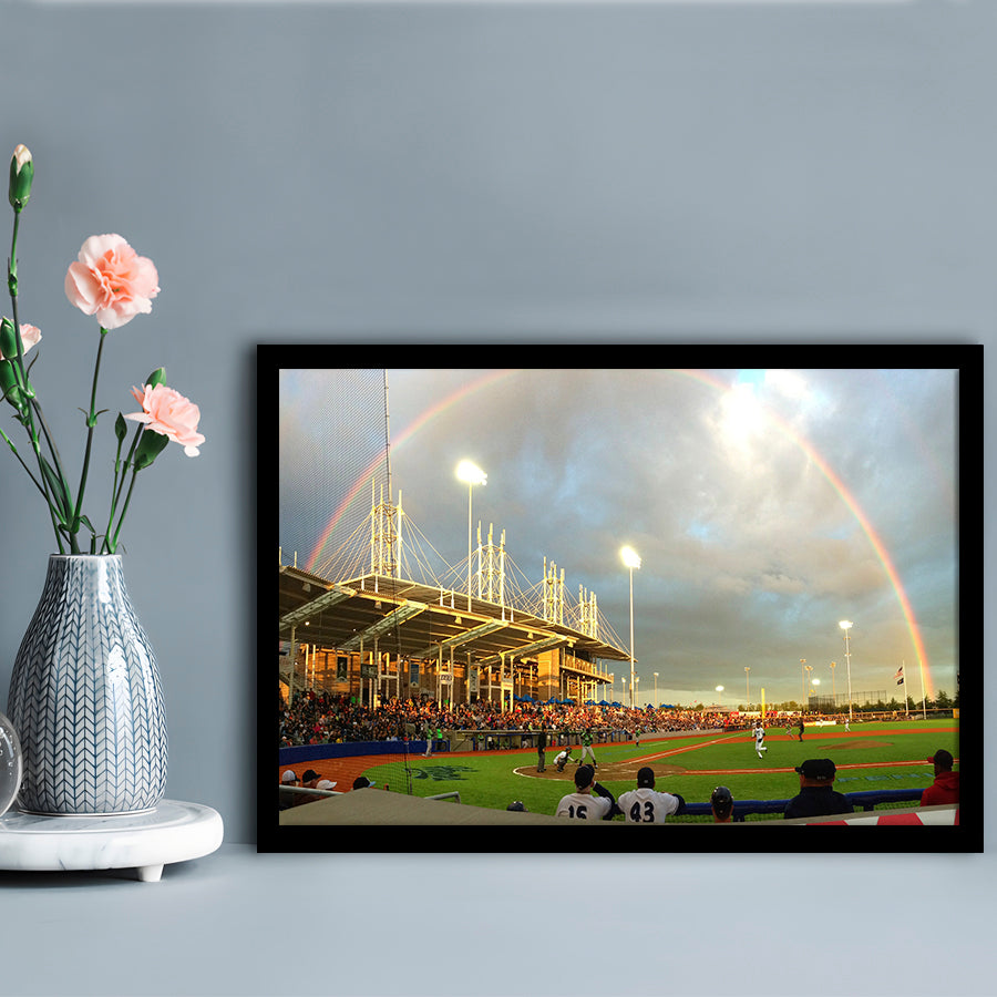 Ron Tonkin Field, Stadium Canvas, Sport Art, Gift for him, Framed Art Print Wall Decor, Picture Framed
