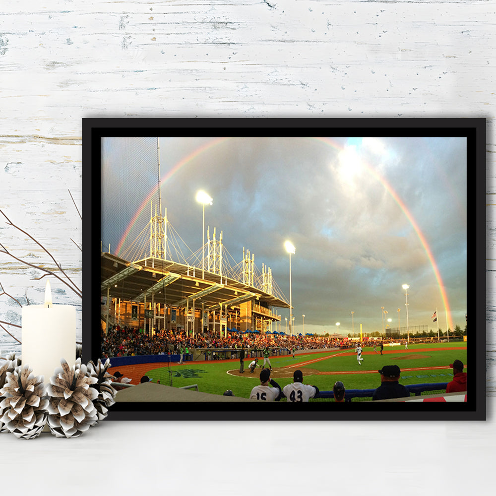 Ron Tonkin Field, Stadium Canvas, Sport Art, Framed Canvas Print Wall Art, Floating Frame