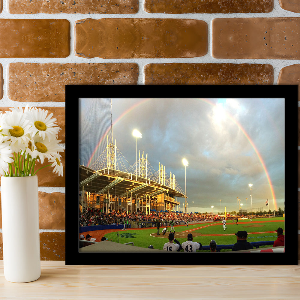 Ron Tonkin Field, Stadium Canvas, Sport Art, Gift for him, Framed Art Print Wall Decor, Picture Framed