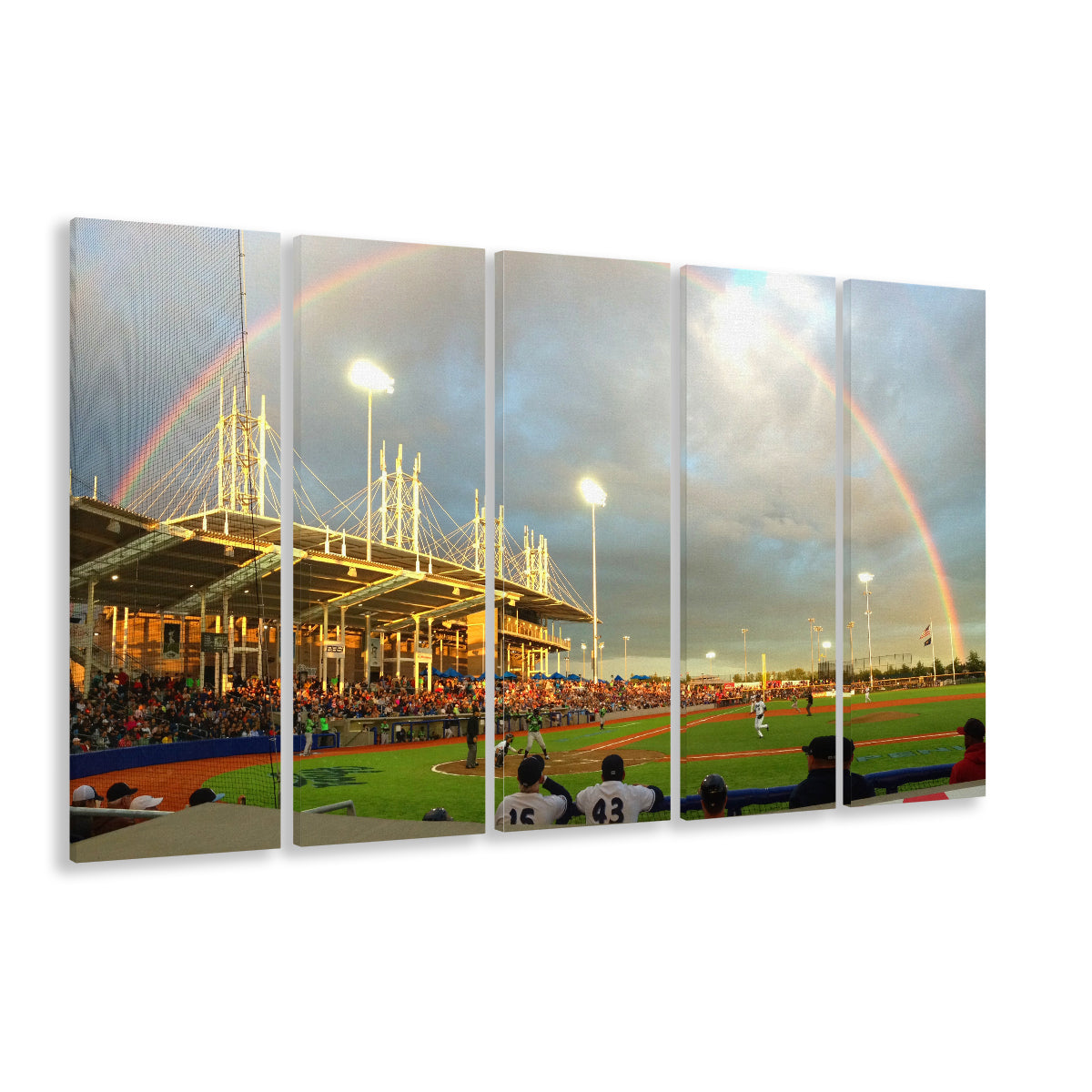 Ron Tonkin Field, Stadium Canvas, Sport Art, 5 Panel B, Extra Large Canvas, Canvas Print Wall Art