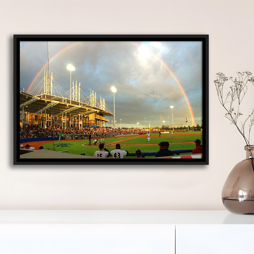 Ron Tonkin Field, Stadium Canvas, Sport Art, Framed Canvas Print Wall Art, Floating Frame