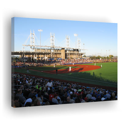 Ron Tonkin Field Stadium, Stadium Canvas, Sport Art, Gift for him, Man Cave Decor, Art Print, Canvas Print Wall Art