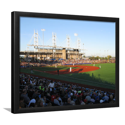 Ron Tonkin Field Stadium, Stadium Canvas, Sport Art, Gift for him, Framed Art Print Wall Decor, Picture Framed