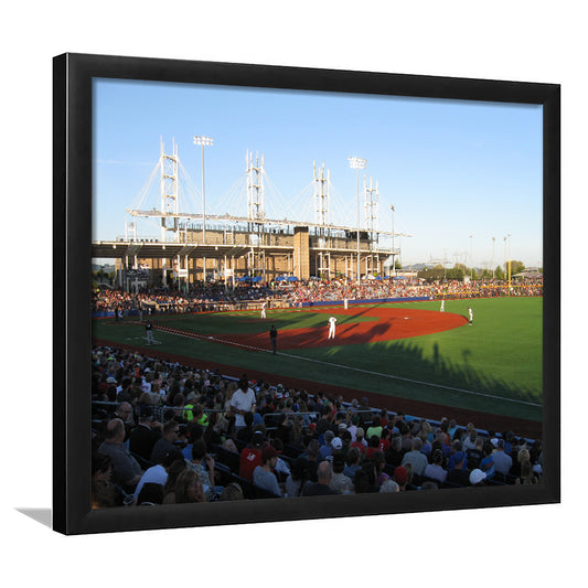 Ron Tonkin Field Stadium, Stadium Canvas, Sport Art, Gift for him, Framed Art Print Wall Decor, Picture Framed