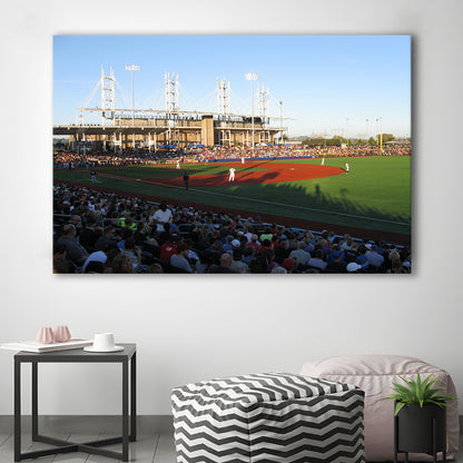 Ron Tonkin Field Stadium, Stadium Canvas, Sport Art, Gift for him, Man Cave Decor, Art Print, Canvas Print Wall Art