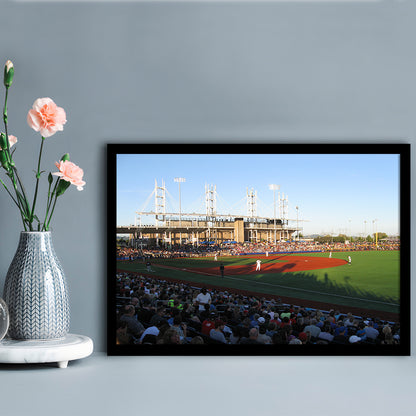 Ron Tonkin Field Stadium, Stadium Canvas, Sport Art, Gift for him, Framed Art Print Wall Decor, Picture Framed