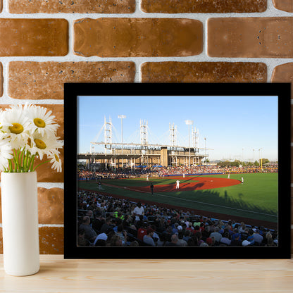 Ron Tonkin Field Stadium, Stadium Canvas, Sport Art, Gift for him, Framed Art Print Wall Decor, Picture Framed
