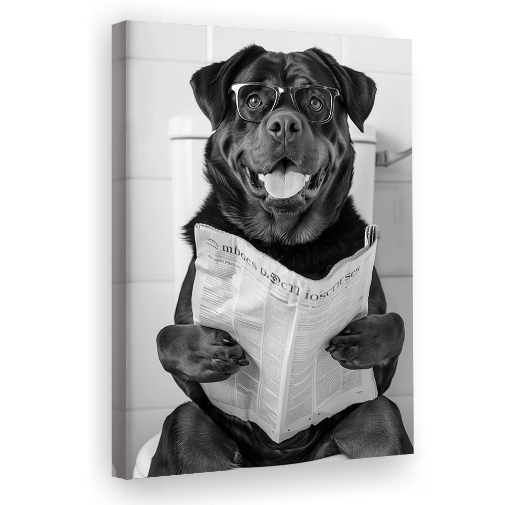 Rottweiler Sitting On Toilet Canvas Print Wall Art, Dog Reading Newspaper, Black and White, Bathroom Wall Decor