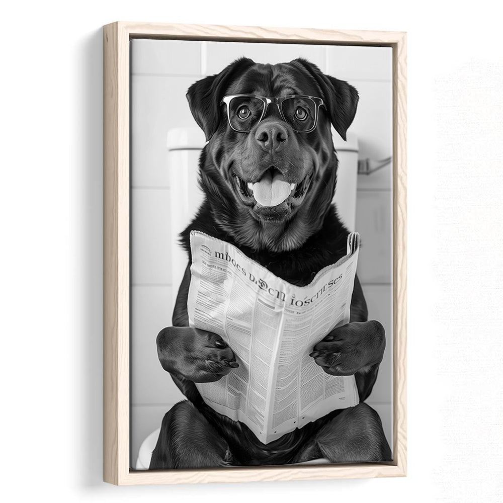 Rottweiler Sitting On Toilet Framed Canvas Print Wall Art, Dog Reading Newspaper, Black and White, Bathroom Wall Decor