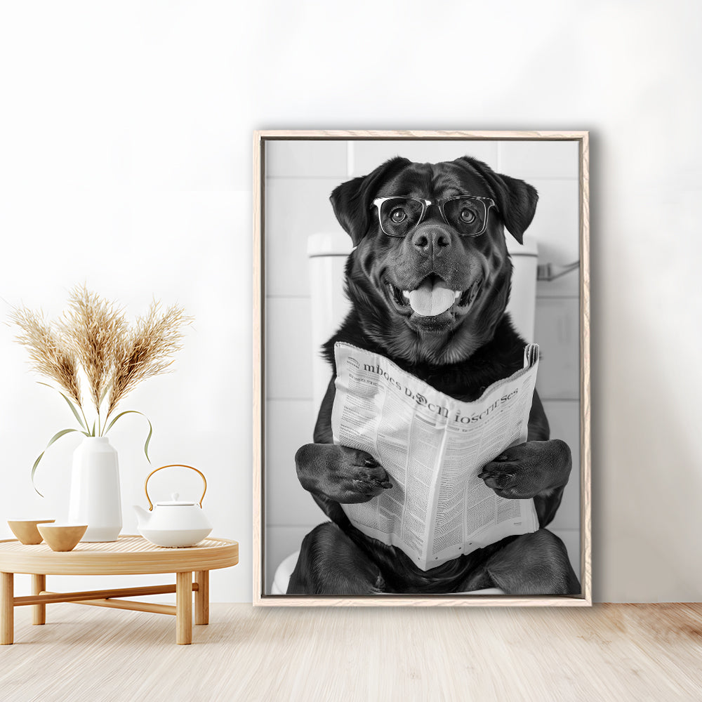 Rottweiler Sitting On Toilet Framed Canvas Print Wall Art, Dog Reading Newspaper, Black and White, Bathroom Wall Decor
