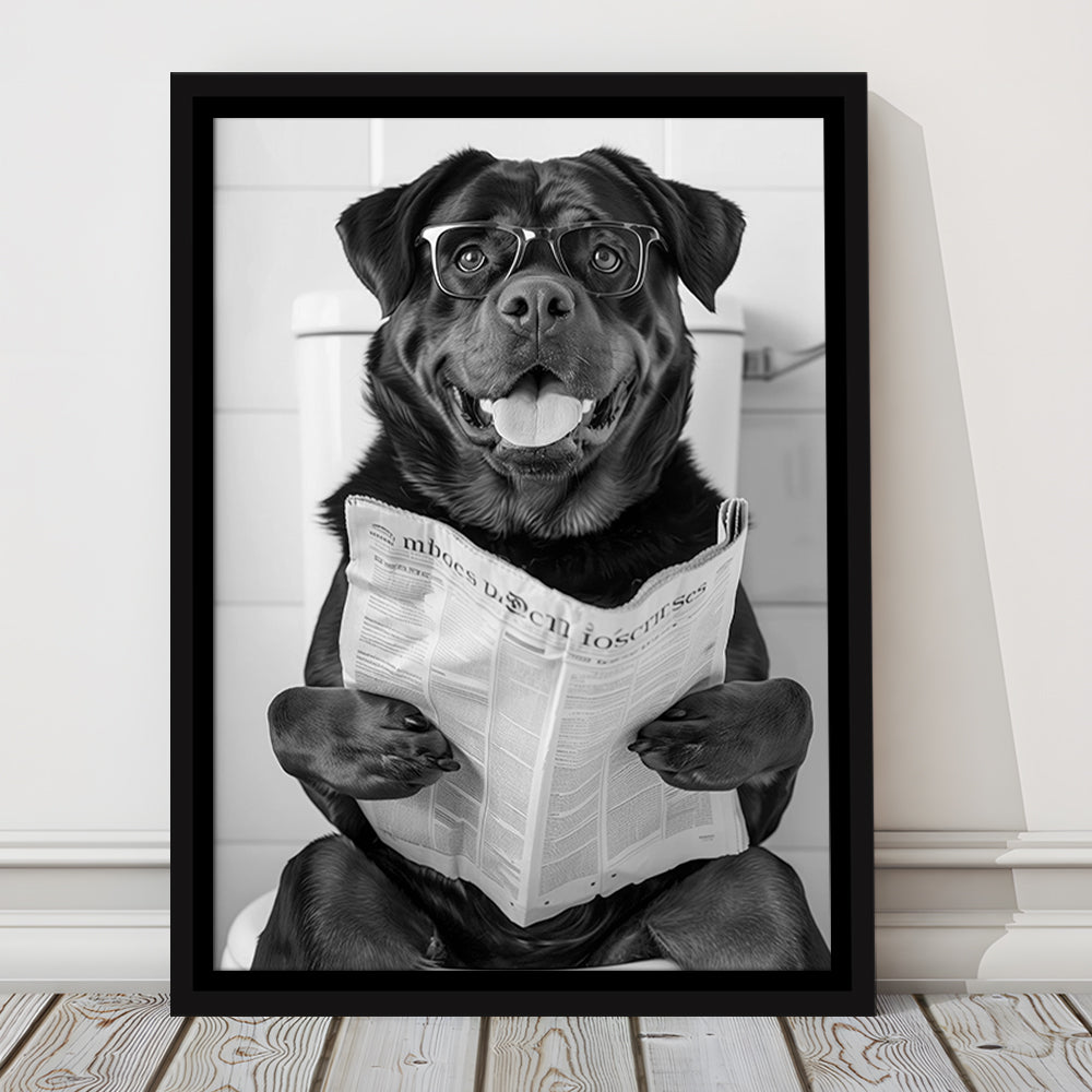Rottweiler Sitting On Toilet Framed Canvas Print Wall Art, Dog Reading Newspaper, Black and White, Bathroom Wall Decor