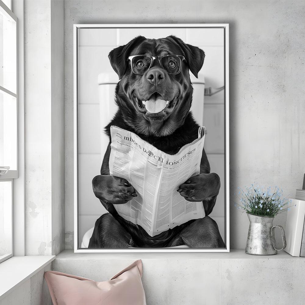 Rottweiler Sitting On Toilet Framed Canvas Print Wall Art, Dog Reading Newspaper, Black and White, Bathroom Wall Decor