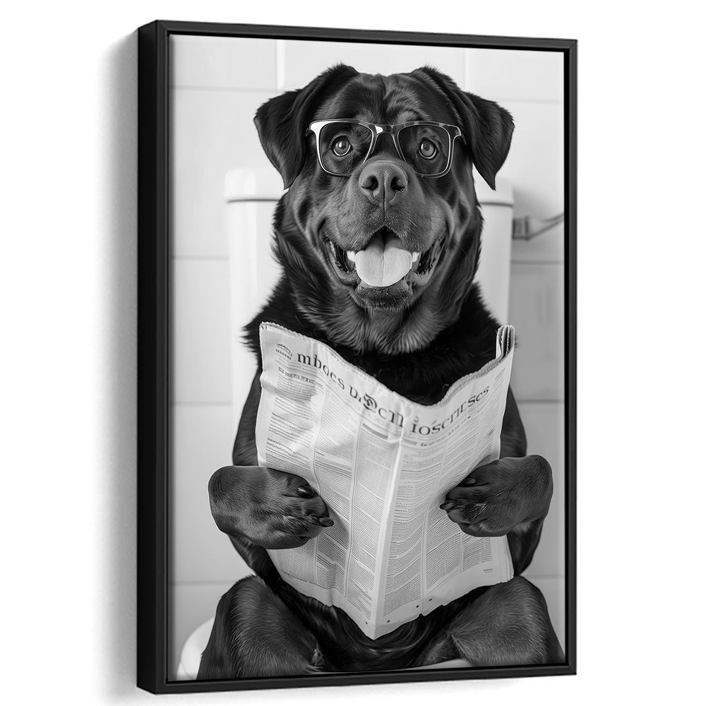 Rottweiler Sitting On Toilet Framed Canvas Print Wall Art, Dog Reading Newspaper, Black and White, Bathroom Wall Decor