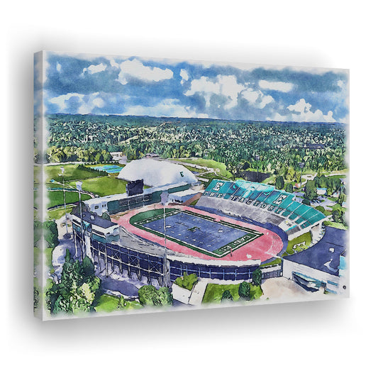 Rynearson Painting Stadium Watercolor, Ypsilanti Michigan Watercolor, Sport Art, Gifts for him, Canvas Print Wall Art