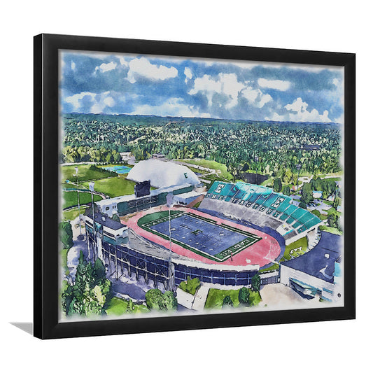 Rynearson Painting Stadium Watercolor, Ypsilanti Michigan Watercolor, Sport Gift Art, Framed Art Print Wall Decor