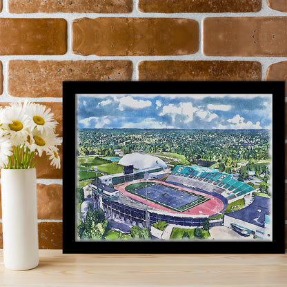 Rynearson Painting Stadium Watercolor, Ypsilanti Michigan Watercolor, Sport Gift Art, Framed Art Print Wall Decor