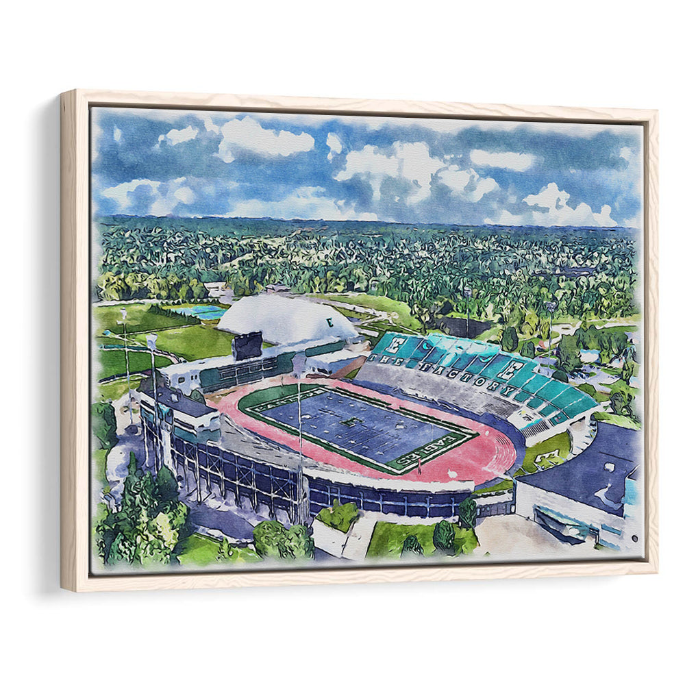 Rynearson Painting Stadium Watercolor, Ypsilanti Michigan Watercolor, Sport Gift Art, Framed Canvas Print Wall Art