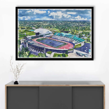 Rynearson Painting Stadium Watercolor, Ypsilanti Michigan Watercolor, Sport Gift Art, Framed Art Print Wall Decor