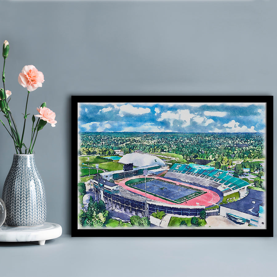 Rynearson Painting Stadium Watercolor, Ypsilanti Michigan Watercolor, Sport Gift Art, Framed Art Print Wall Decor