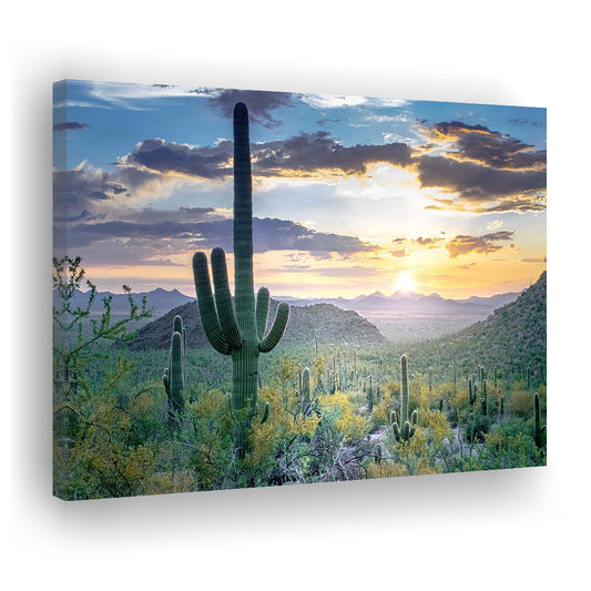 Saguaro National Park Wall Art,Majestic Arizona Canvas Print Depicting the Beauty of the USA, Cavas Print Wall Art Hom Decor