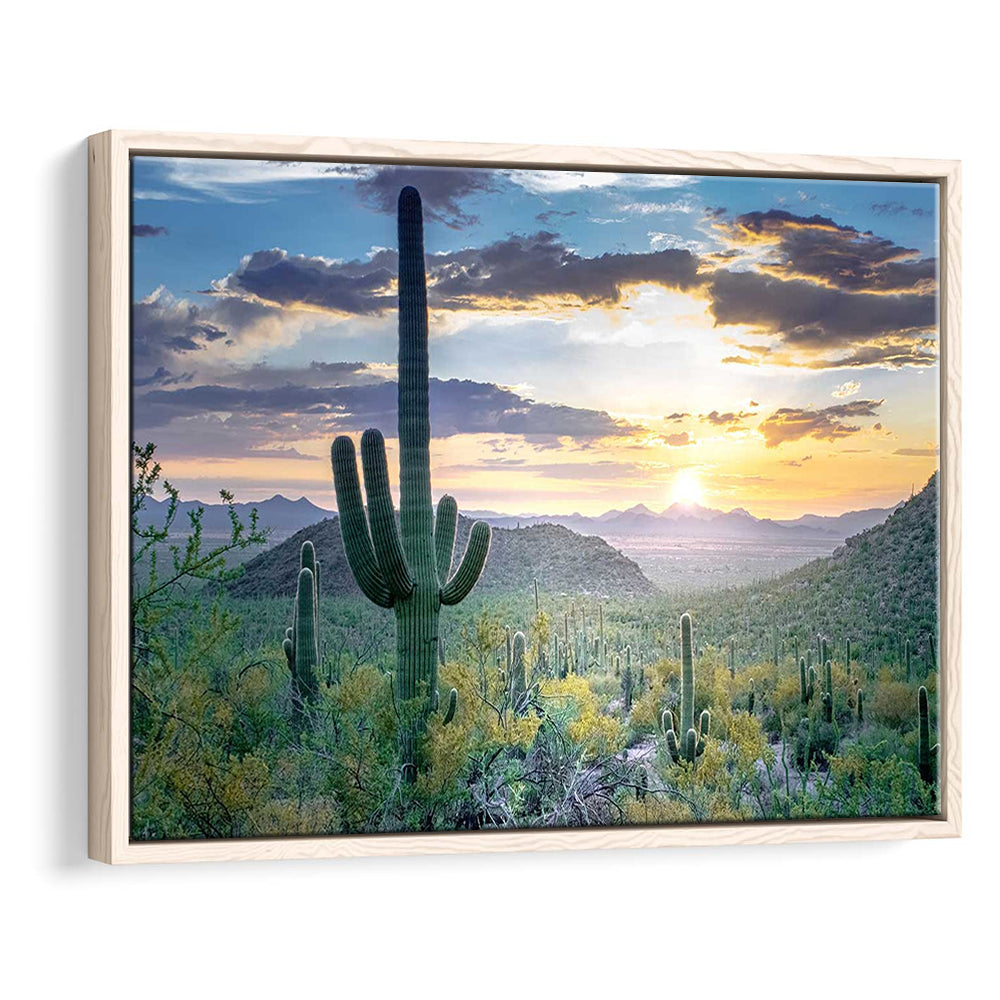 Saguaro National Park Wall Art,Majestic Arizona Depicting The Beauty, Framed Cavas Print, Floating Frame
